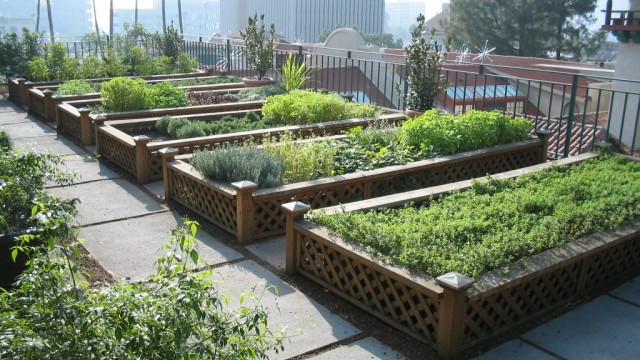 urban ag